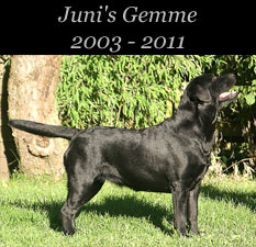 Juni's Gemme 2003 - 2011