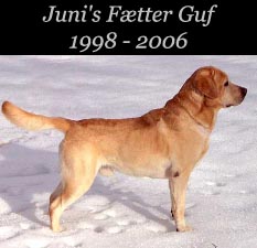 Juni's Fætter Guf 1998 - 2006