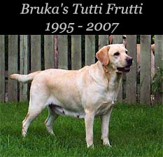 Bruka's Tutti Frutti 1995 - 2007