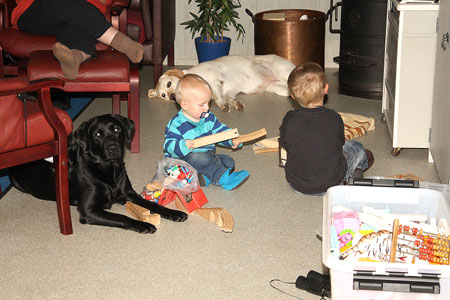 børn og hunde leger