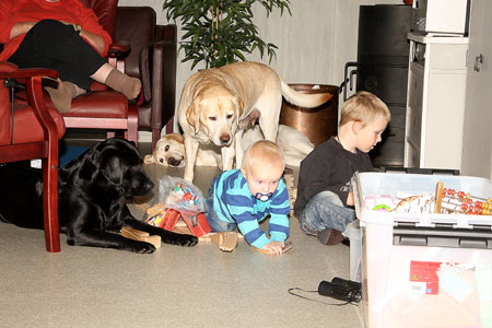 børn og hunde leger