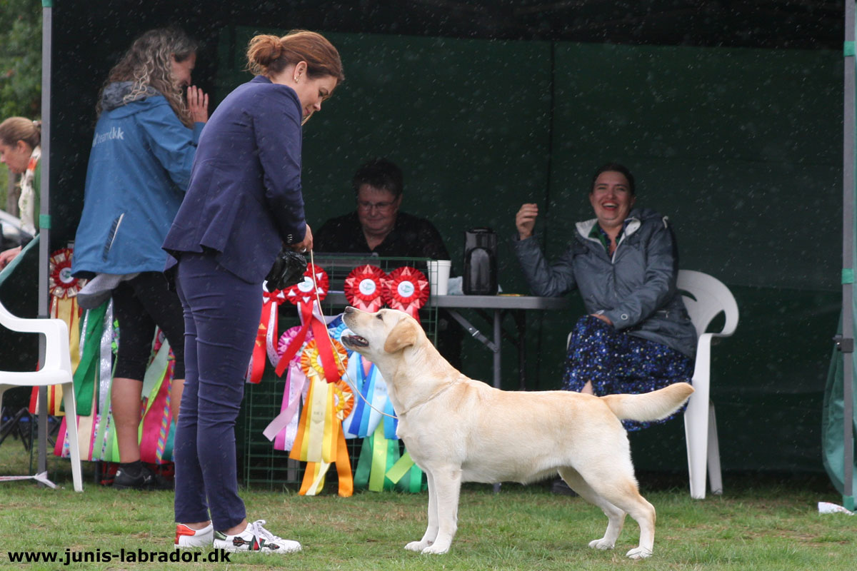 Kennel Juni's